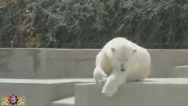 Mulhouse - Zoo de Mulhouse - Parc Zoologique et Botanique