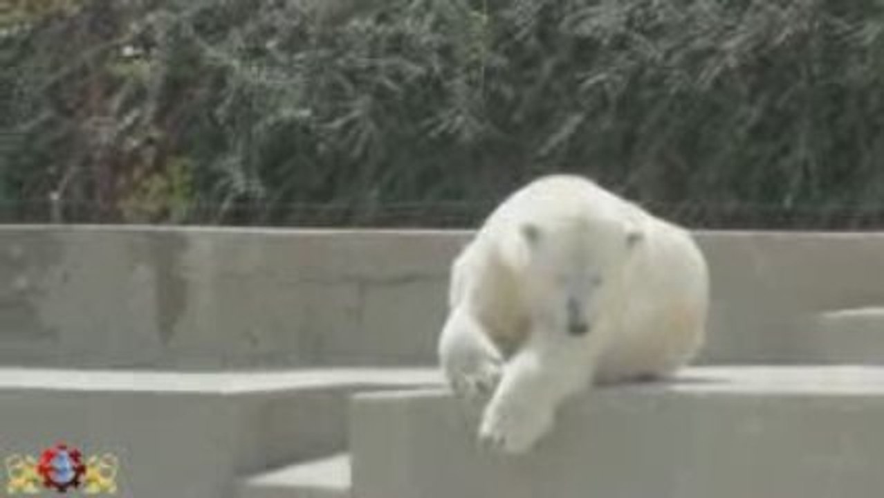 Mulhouse - Zoo de Mulhouse - Parc Zoologique et Botanique