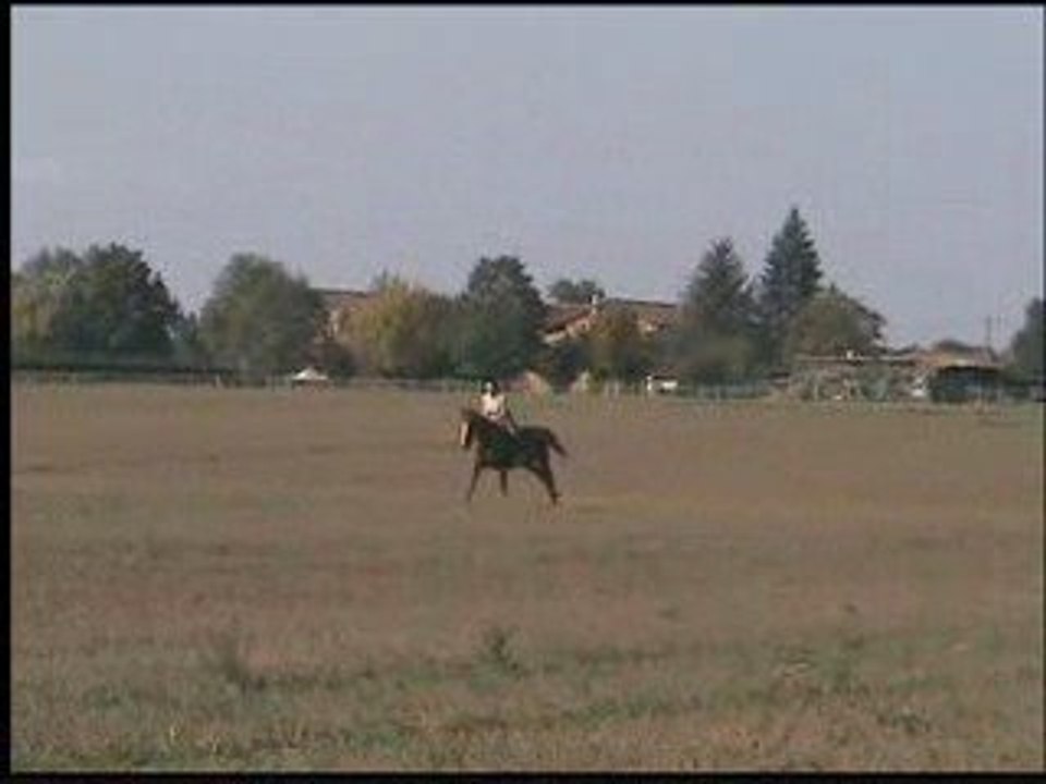 chute de cheval fabien