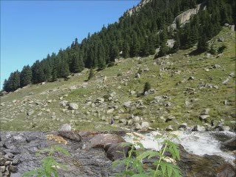 AMLAKİT-VOLKAN KONAK-KAVRUN.TR.GG