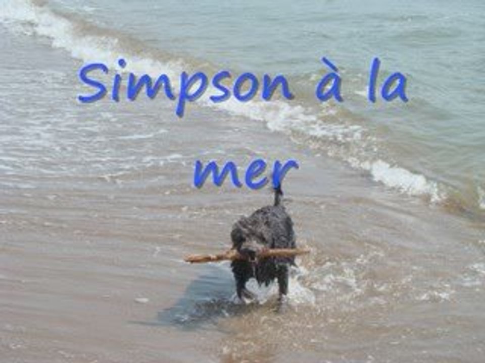 Simpson à la mer