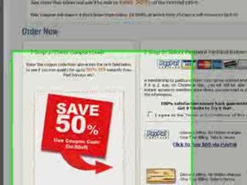 Paid Surveys Video Review