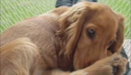 Camila - En la hamaca