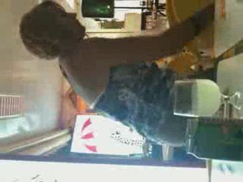 Vanio Show na Quarteira 2009