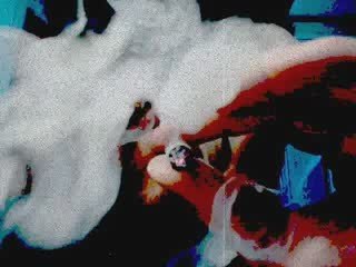 lim zeler a la cité