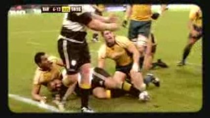 Wallabies New Generation - David Pocock