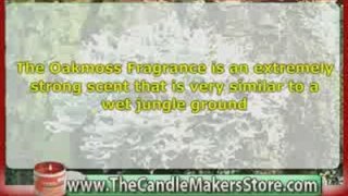 Candle Fragrance Oil: Oak Moss Fragrance