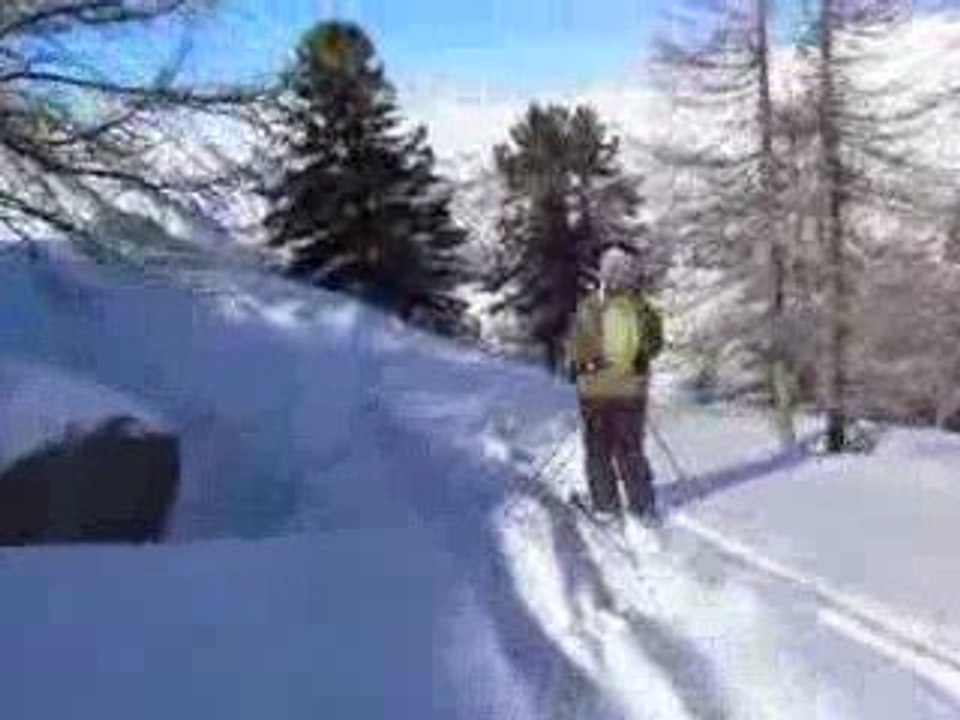 poudreuse dans le farini...