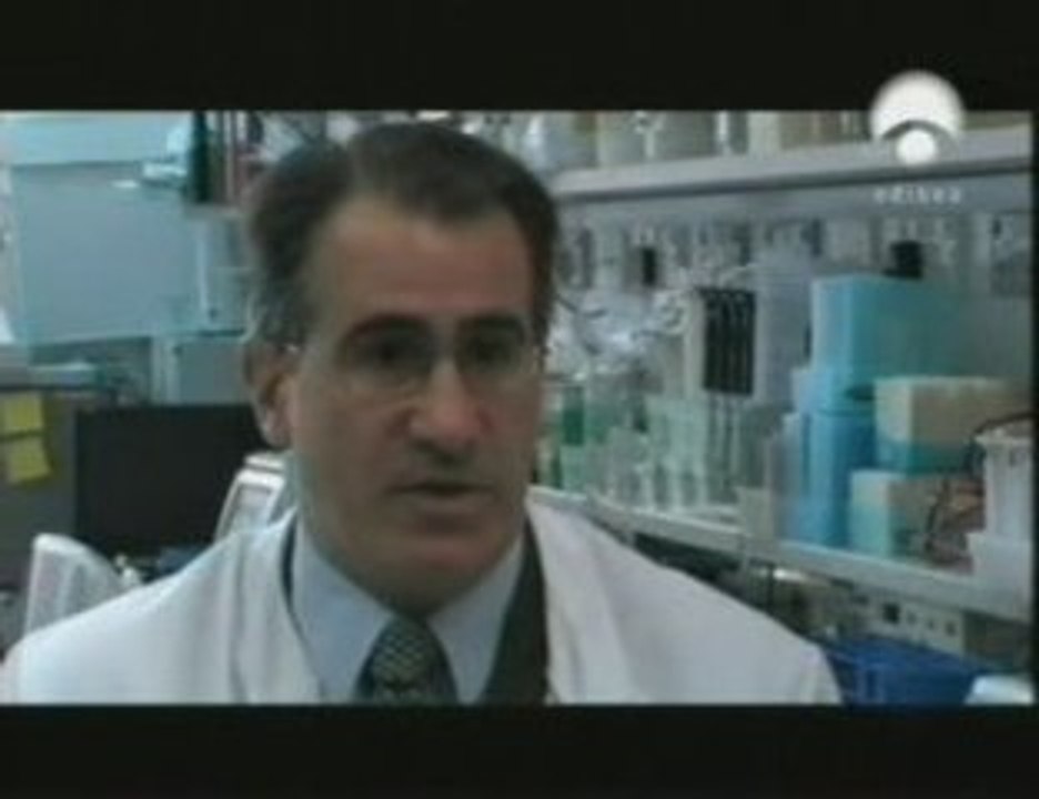 FoxP2: Origen del lenguaje (N. Chomsky)