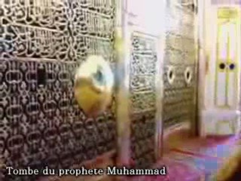 La vérité sur l'Islam