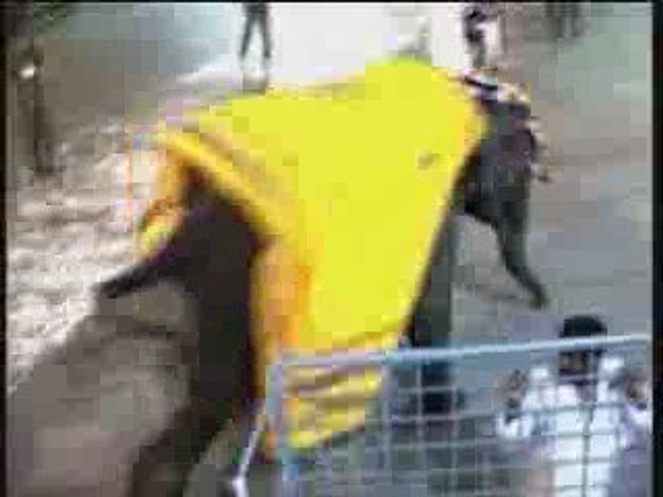 Elefante impazzito
