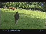 Video Poulain mutilé France3 le 7 août 2005