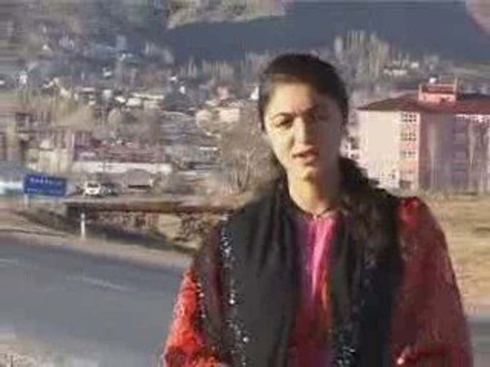 veysel baskale