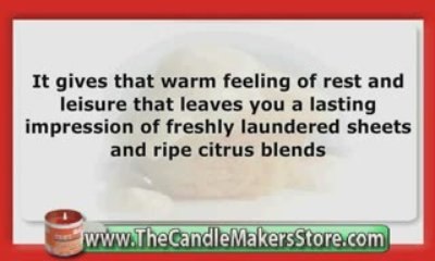 Candle Fragrance Oil: Real Orange Dreamsicle