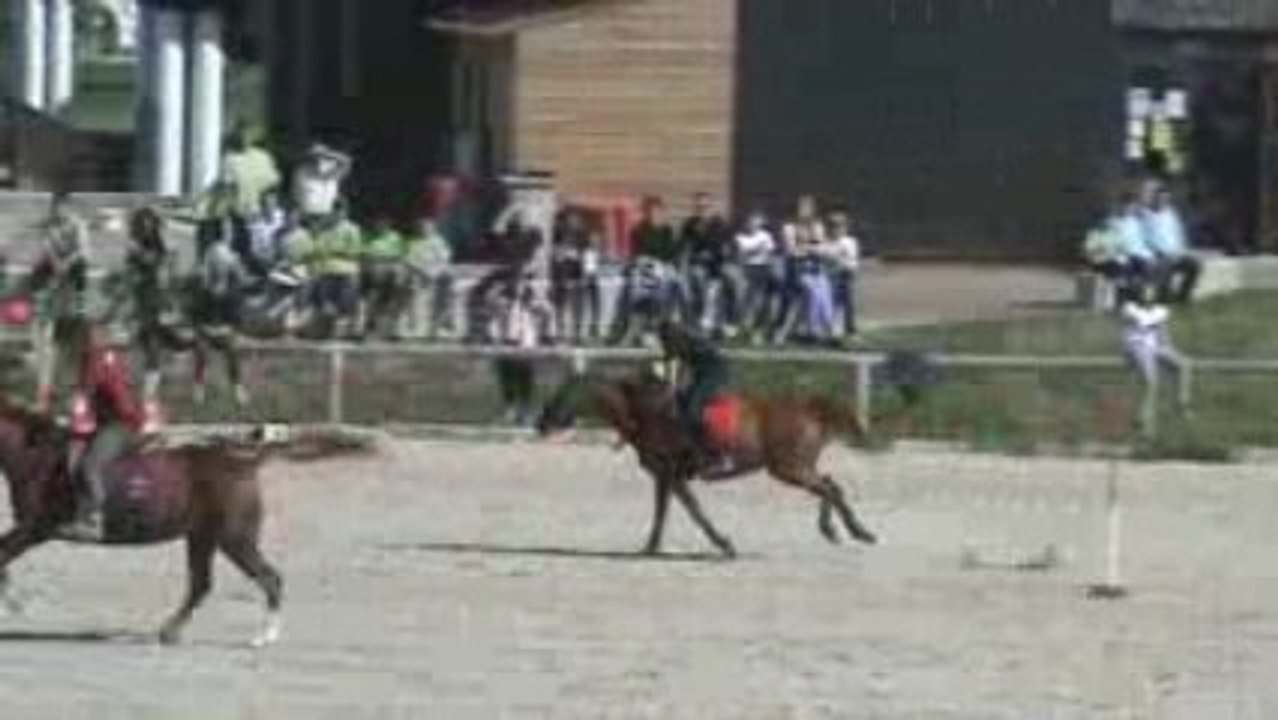 FOX  à pied à poney