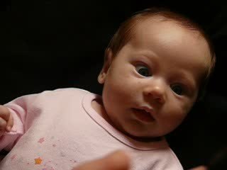 2009 09 04 Gazouille avec le pingouin