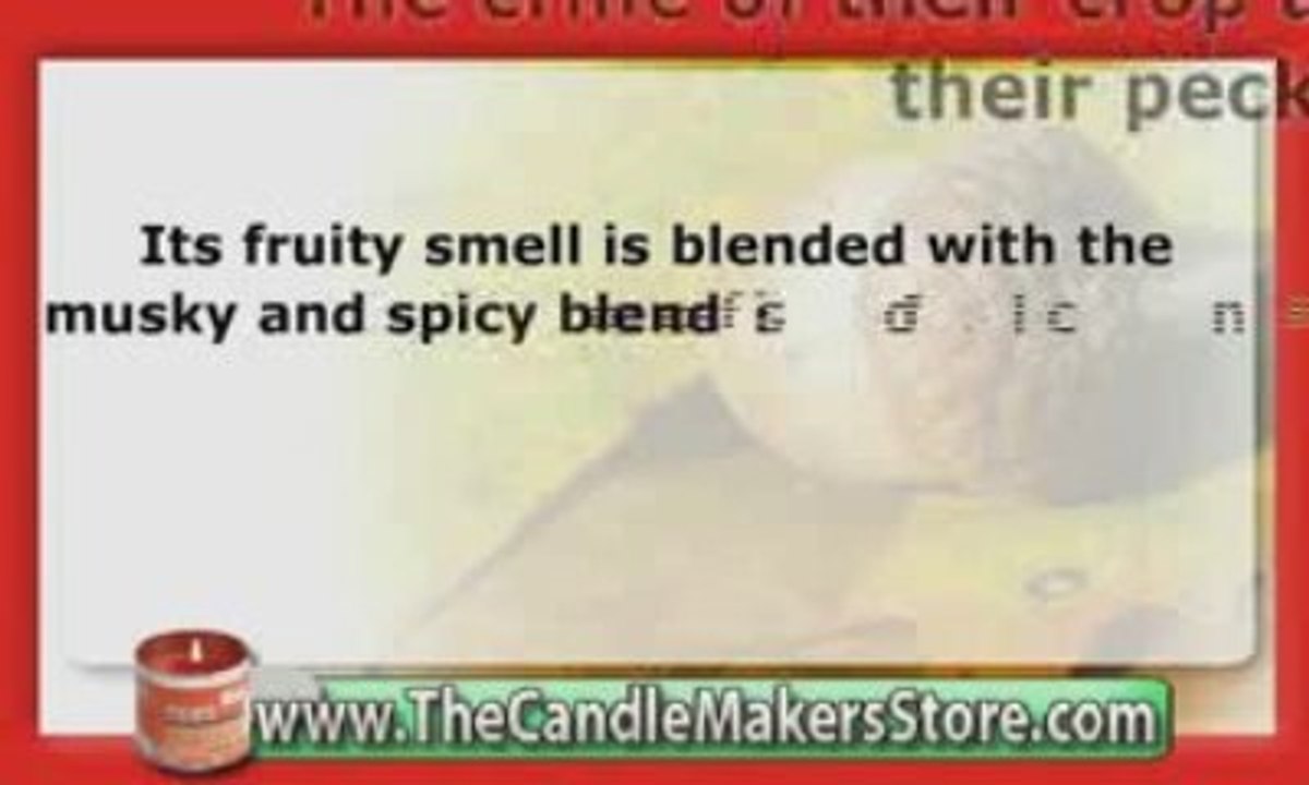 Candle Fragrance Oil: Harvest Fragrance