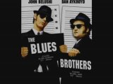 CELEBRITE 65-Les FRERES BLUES/The blues brothers