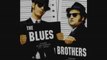 CELEBRITE 65-Les FRERES BLUES/The blues brothers