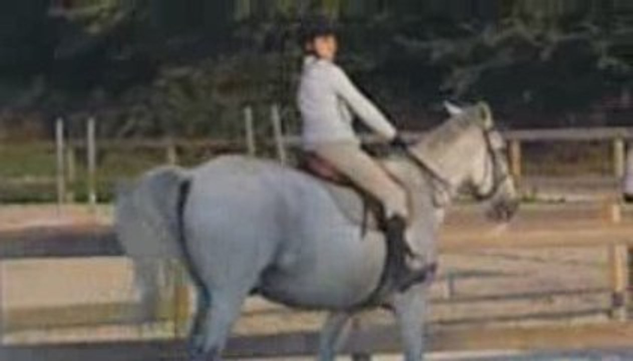 Dressage avec Gagneur à Kerguélen