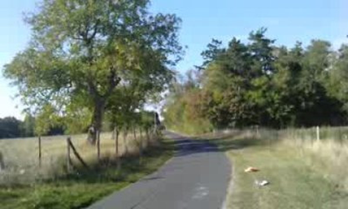 Derbi Bidalot replica