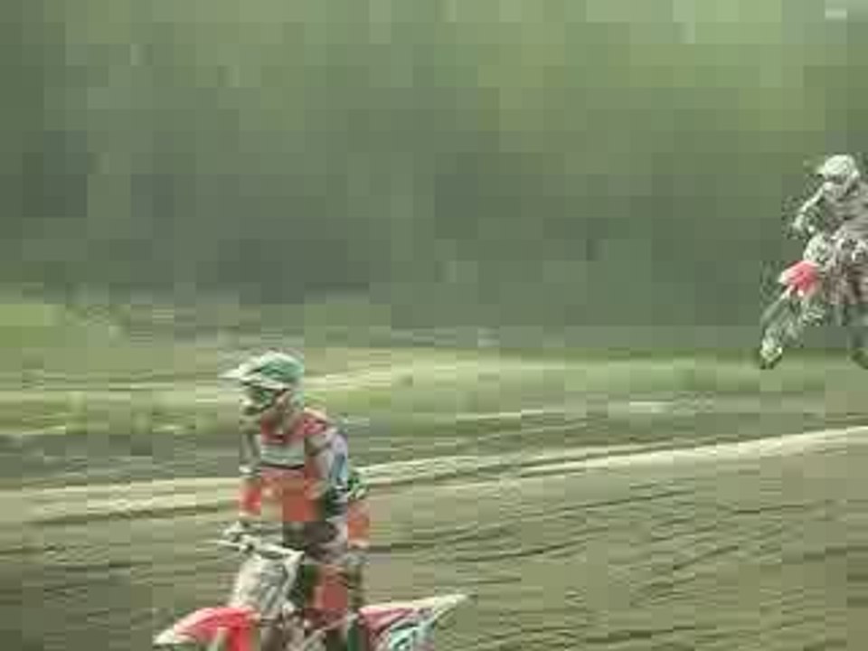 Desalle - Everts - Pichon & others