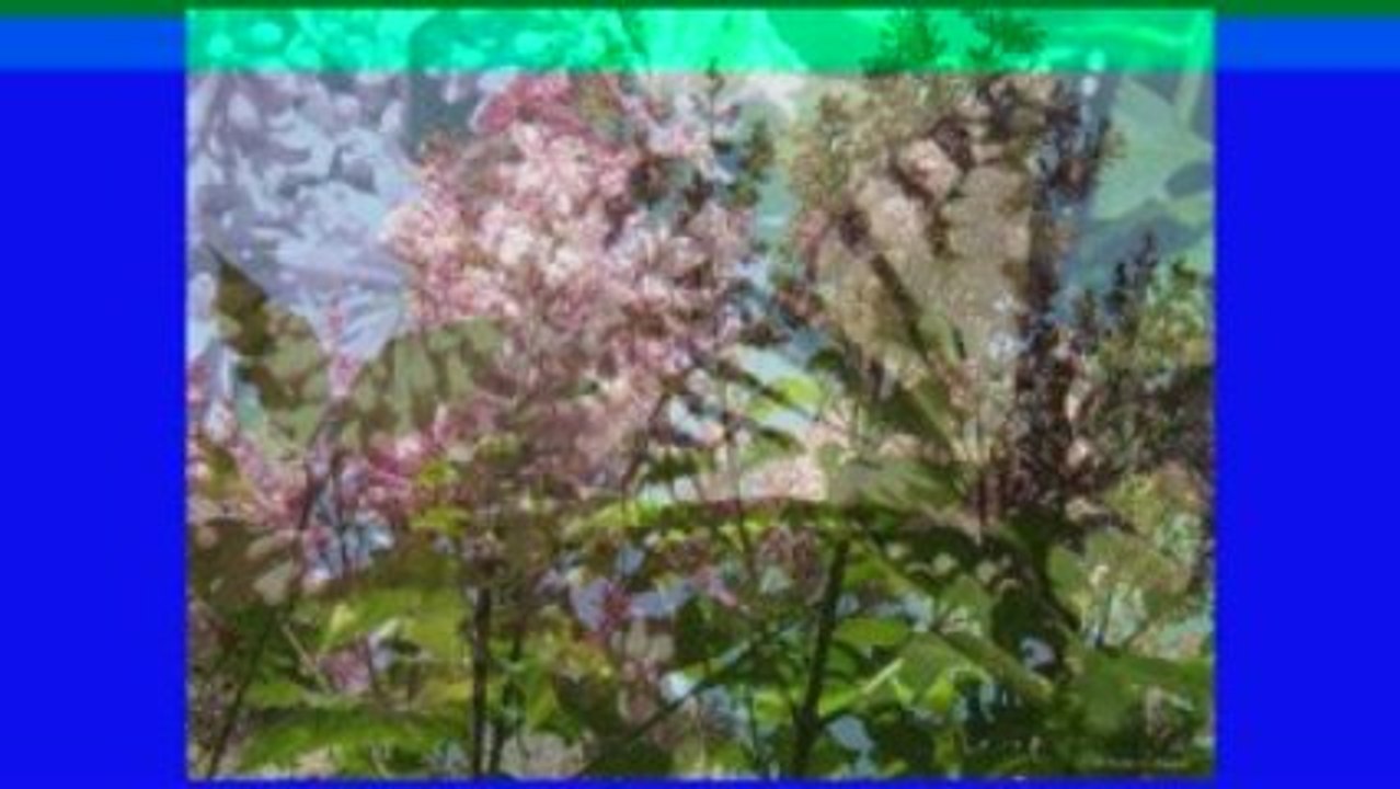 Omraam Mikhaël AÏvanhov Le Grand Printemps