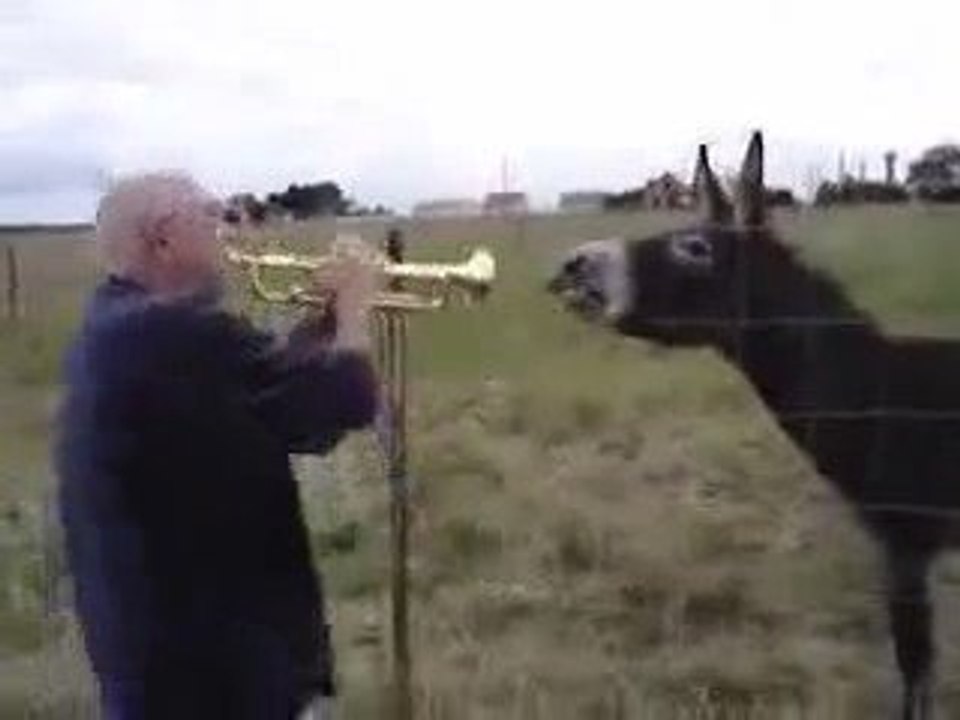 Eşek Hoşaftan Ne Anlar Diyenlere
