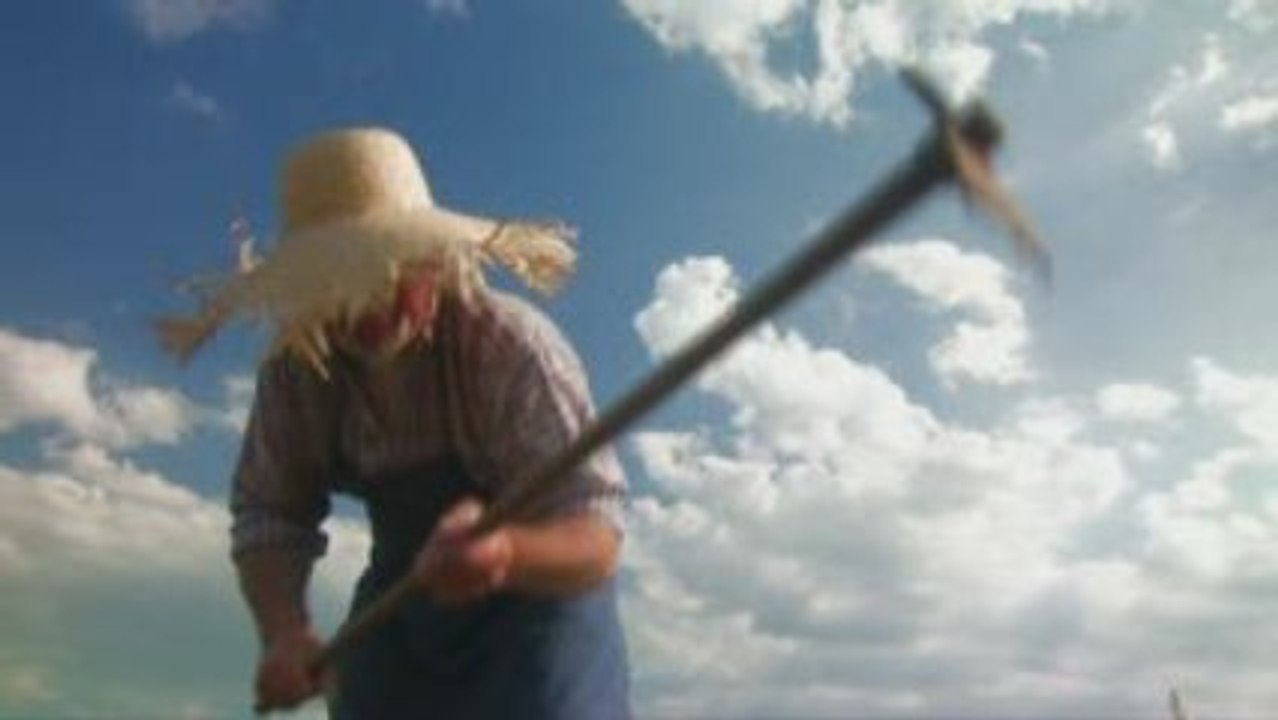 The poker chips sower