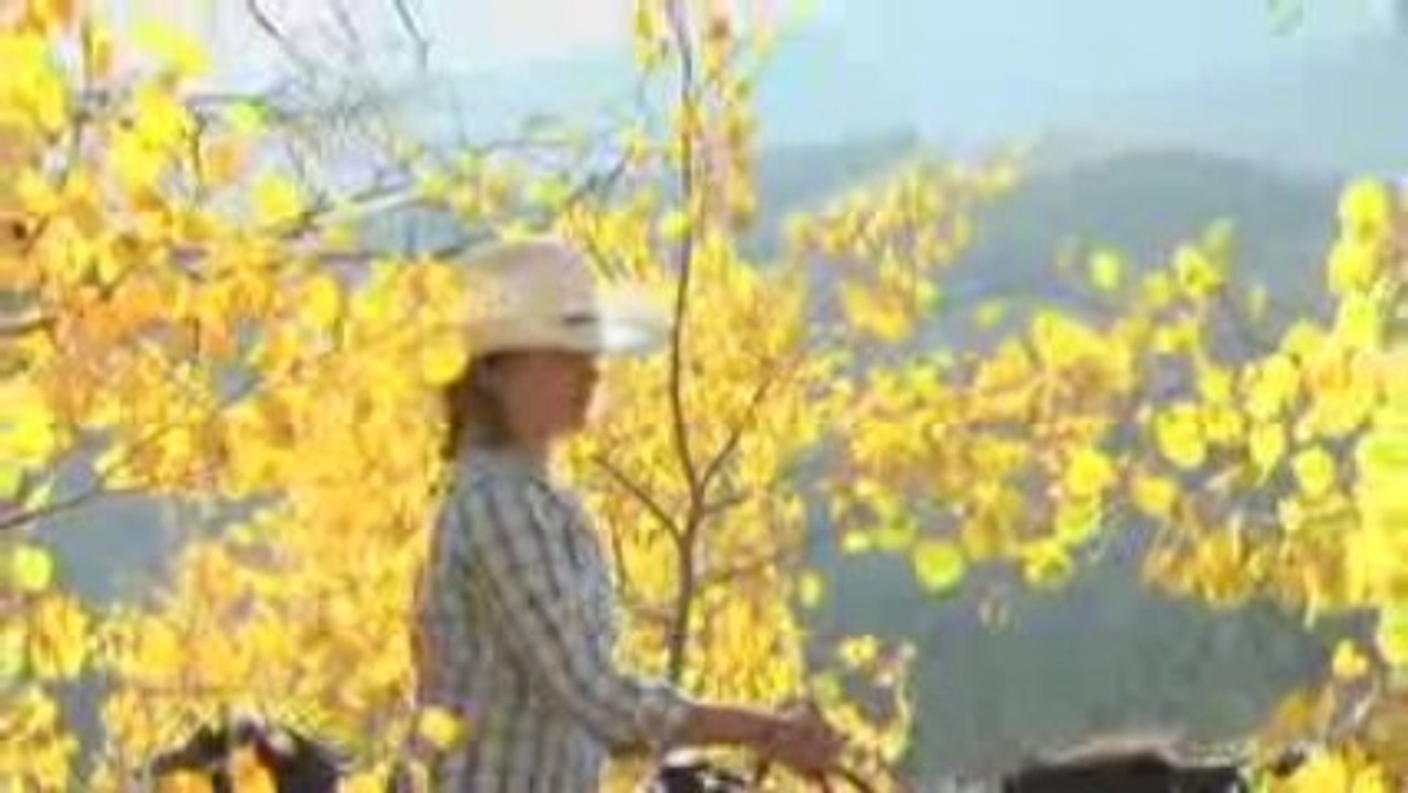 Goosewing Ranch Fall Trail Ride - Jackson Hole, WY