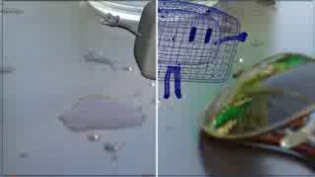 Making Of "Un glaçon à Paris"