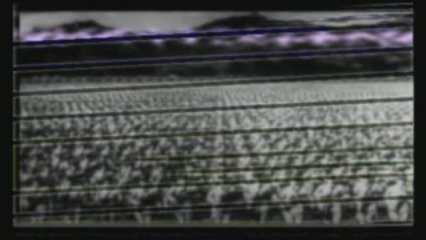 Tooth & Claw RISE OF THE NAZIS