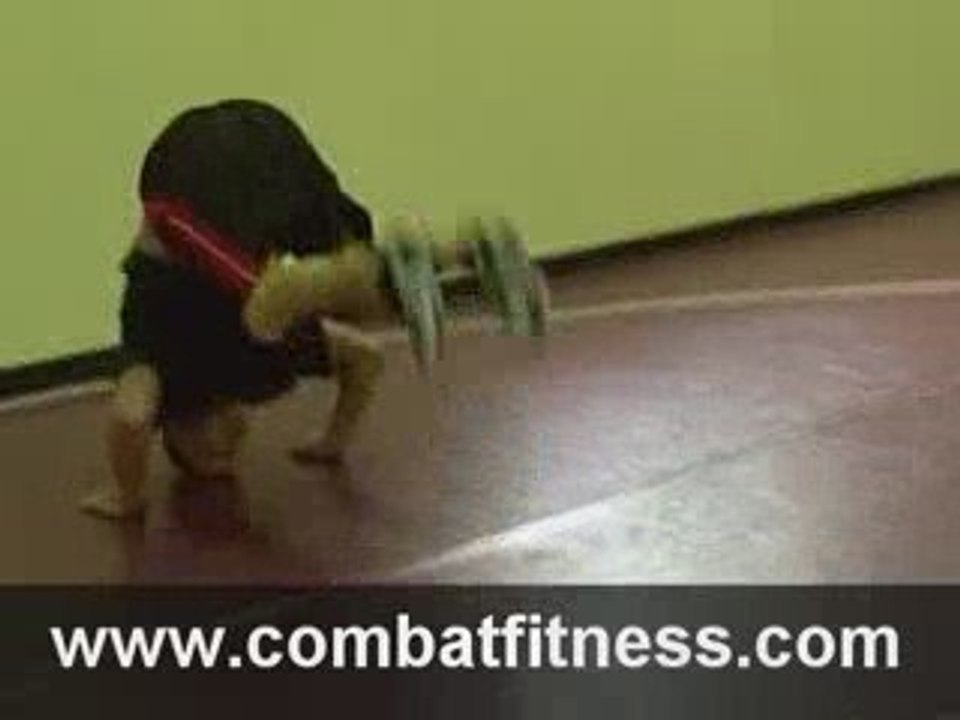 Bridge Flip