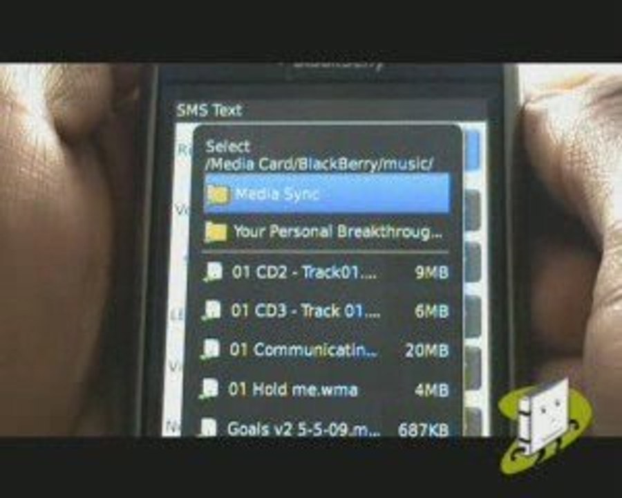 Ringtone Tutorial | BlackBerry Storm 9500 | The Human Manual