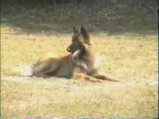 D'Jakson ring 1 le 26 Septembre 2009 à Fort Mardyck