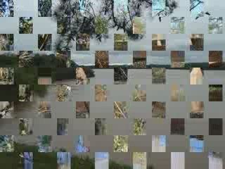 garruchos corrientes