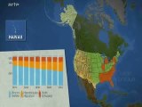 Les WASP et la démographie américaine (dossier 2009)