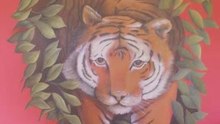 Decorative Artist Mariana Diano