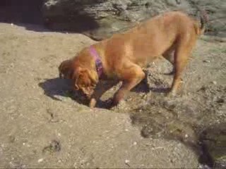 Dolita se la joue dans les travaux publics =D