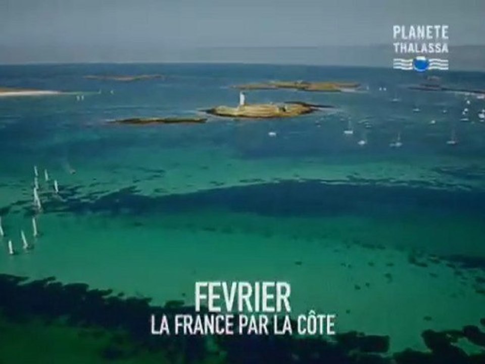sur PLANETE THALASSA en février, tout le spectacle du monde!