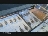 15ème salon international des insectes de Juvisy-sur-Orge