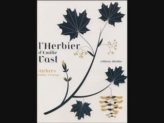 Livre : L'HERBIER - Arbres feuillus d'Europe