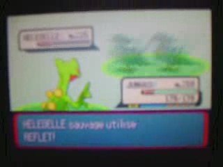 Capture d'un oiseau vert shiny 1/2