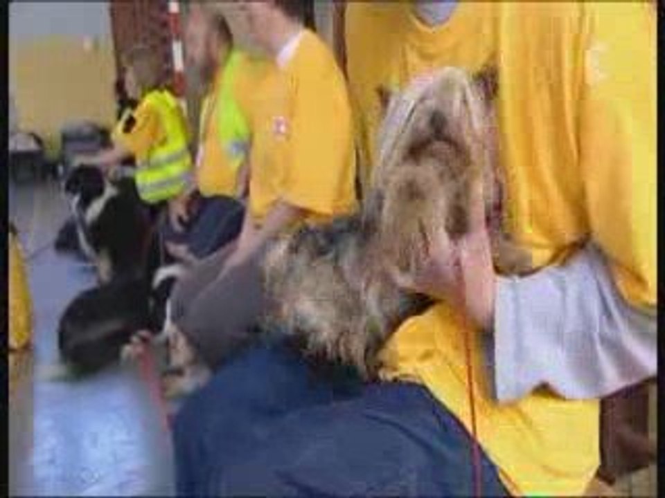 30 Miilions d'amis - Les éduquer en s'amusant