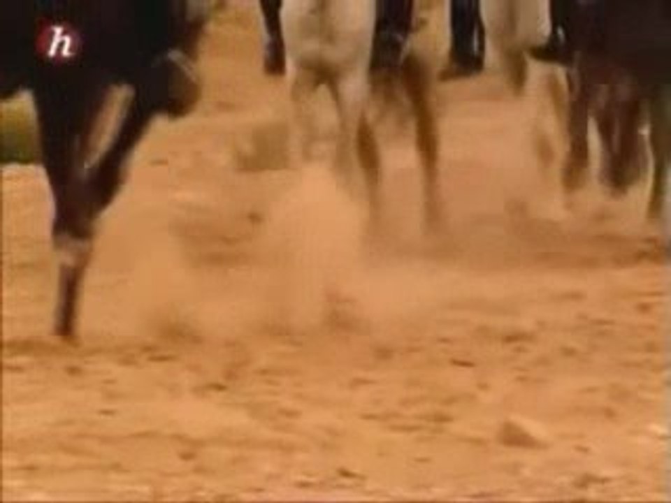 ﺶTRAILER CORANگ