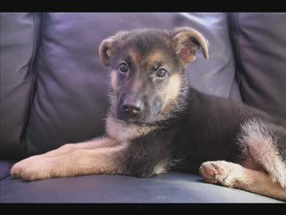 BA Everest De La Roche Clothilde