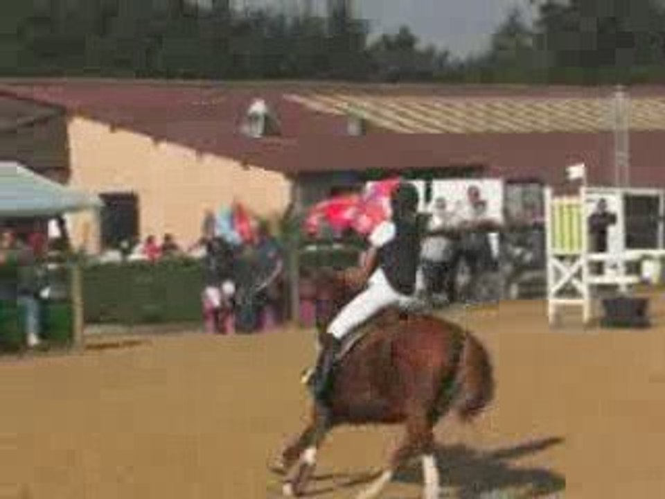 SUNFLASH D2P CHUTE