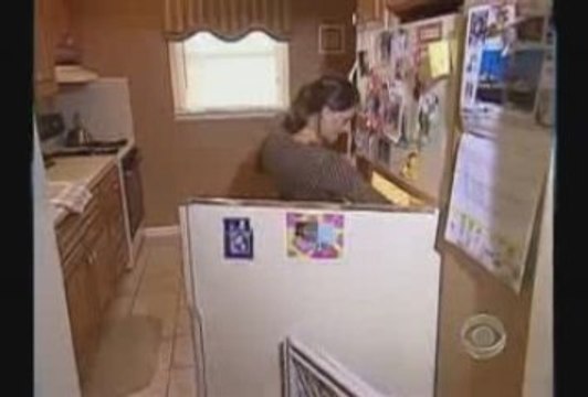 The Swine Flu Conspiracy