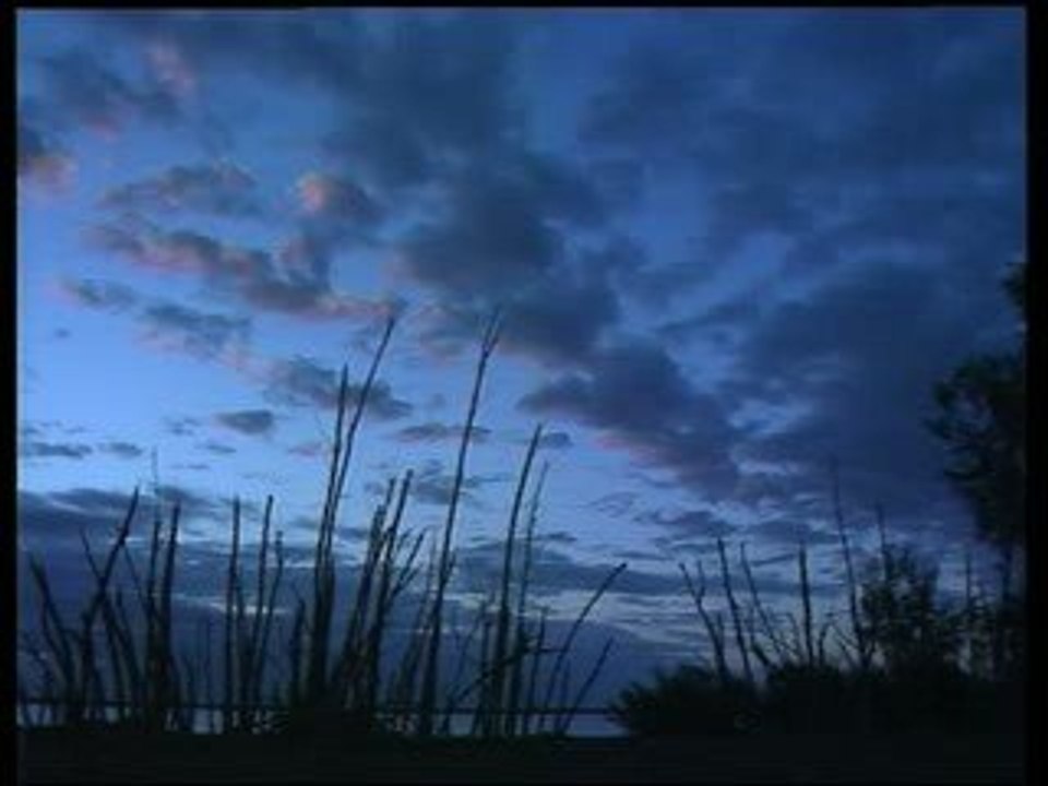 ANGANO... ANGANO... Nouvelles de Madagascar - extrait
