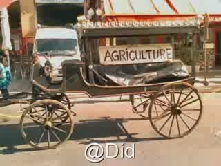 MANIFESTATION Les agriculteurs enterrent leurs productions